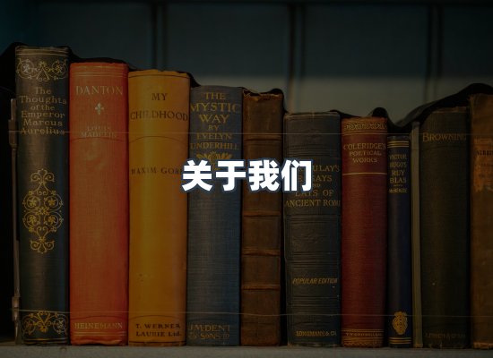 关于我们