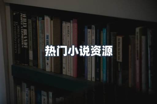 热门小说资源